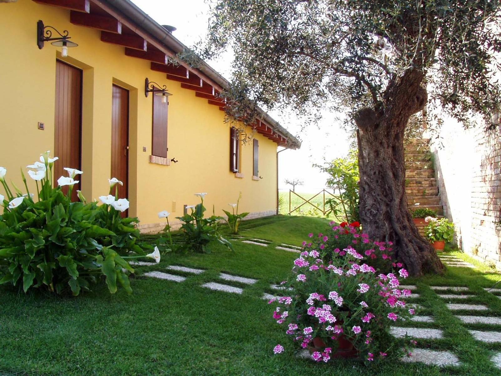 Agriturismo Tenuta Santa Maria Notaresco Exterior foto