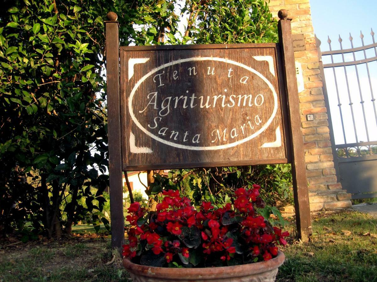 Agriturismo Tenuta Santa Maria Notaresco Exterior foto
