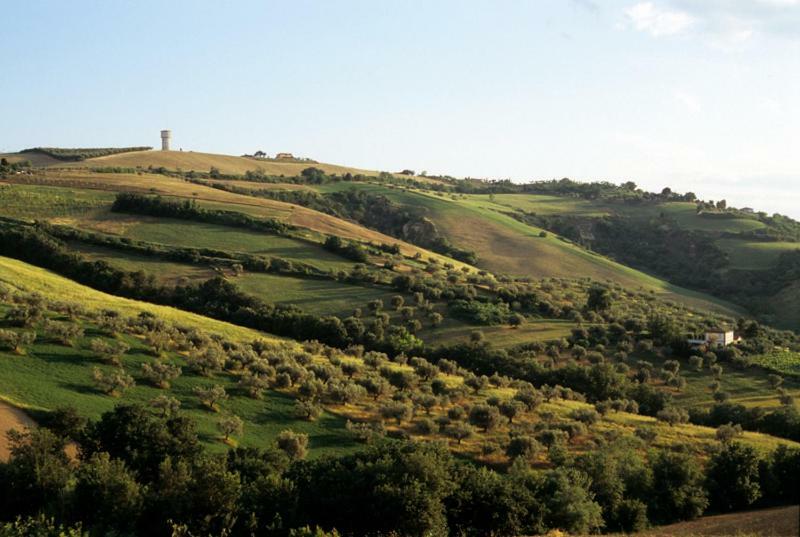 Agriturismo Tenuta Santa Maria Notaresco Exterior foto